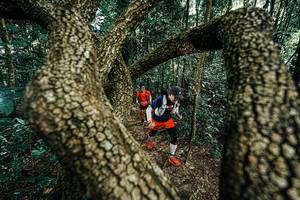 BIB: 
                            <button type="button" onclick="openModal(25392613)" class="btn btn-primary btn-sm float-right btn-popup" data-toggle="modal" data-target=".modal-high-quality">
                        <i class="fas fa-shopping-cart"></i> Add to Cart
                    </button>
                                            <button type="button" onclick="isThisMe(25392613, true)" class="btn btn-success btn-sm float-right btn-popup btn-isme hidden" data-toggle="tooltip" data-placement="bottom" title="นี่คือรูปของคุณใช่ไหม คลิกที่นี่เพื่อเอาเข้าอัลบั้ม">
                        <i class="fas fa-plus"></i> Add to album
                    </button>
                    <button type="button" onclick="isThisMe(25392613, false)" class="btn btn-warning btn-sm float-right btn-popup btn-isnotme hidden">
                        <i class="fas fa-ban"></i> Remove from album
                    </button>